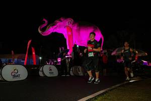 BIB: 
                            <button type="button" onclick="openModal(26544133)" class="btn btn-primary btn-sm float-right btn-popup" data-toggle="modal" data-target=".modal-high-quality">
                        <i class="fas fa-shopping-cart"></i> Add to Cart
                    </button>
                                            <button type="button" onclick="isThisMe(26544133, true)" class="btn btn-success btn-sm float-right btn-popup btn-isme hidden" data-toggle="tooltip" data-placement="bottom" title="นี่คือรูปของคุณใช่ไหม คลิกที่นี่เพื่อเอาเข้าอัลบั้ม">
                        <i class="fas fa-plus"></i> Add to album
                    </button>
                    <button type="button" onclick="isThisMe(26544133, false)" class="btn btn-warning btn-sm float-right btn-popup btn-isnotme hidden">
                        <i class="fas fa-ban"></i> Remove from album
                    </button>